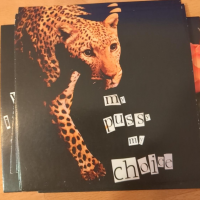 Postkarte quadratisch "my pussy my choice"