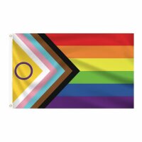 Regenbogen progress pride Flagge