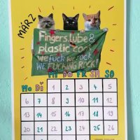queer feminist cat calendar by glitza glitza