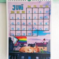 queer feminist cat calendar by glitza glitza