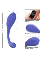 CaExotics Connect Kegel Exerciser App Toy