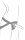 Piccolo Pegging Kit von ROMP